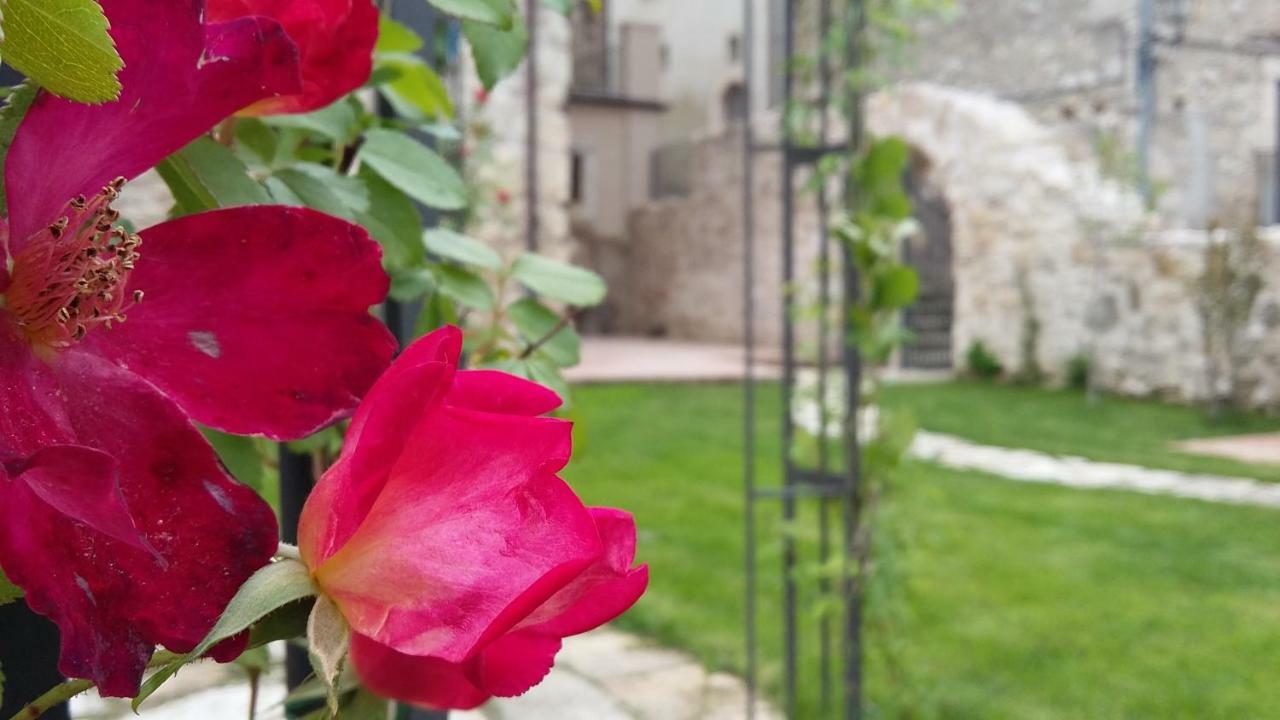 הוילה San Demetrio ne' Vestini Alloggi Agrituristici Antica Dimora מראה חיצוני תמונה